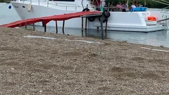 Norge Vip nav photo 6