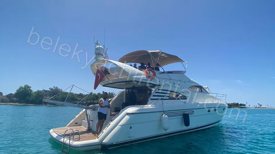 Moonlight Luxury photo 9