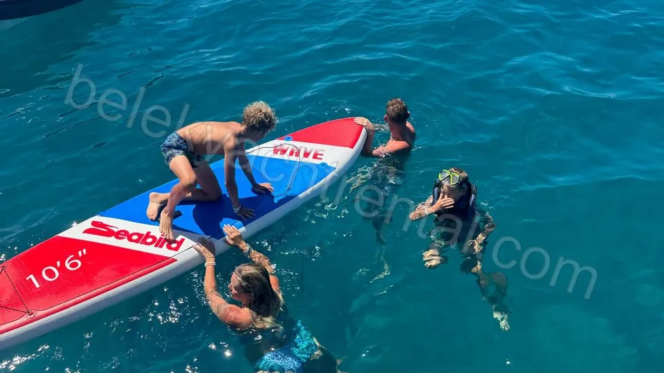 Apollo SS Luxury photo 15