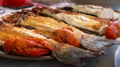 Apollo SS Luxury nav photo 37