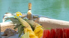 Apollo SS Luxury nav photo 48