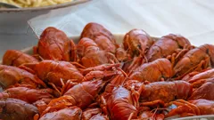 Apollo SS Luxury nav photo 52