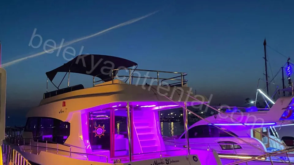 Miami Deluxe photo 18