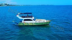 Miami Vip nav photo 11