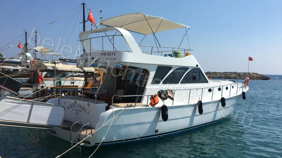 White Angel photo 10