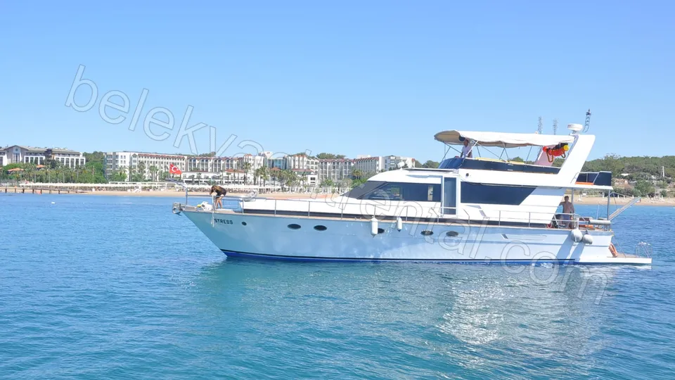 No More Stress photo 6